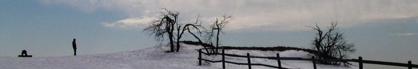 BOZIDAR07