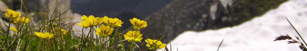 ROMANIA06