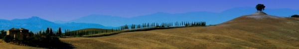 italy 2010
